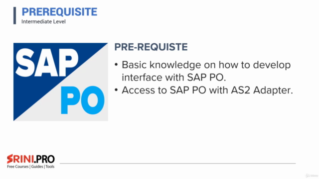 SAP EDI : SAP PO Interface Development with AS2 B2B ADDON - Screenshot_01