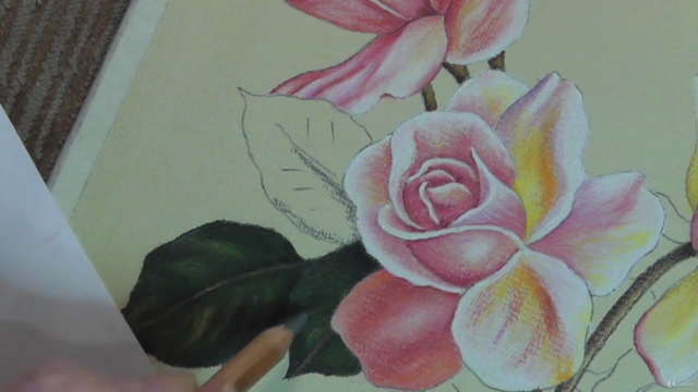 How To Draw Flowers Vol 1 - Roses, Tulips & Daffodils - Screenshot_01