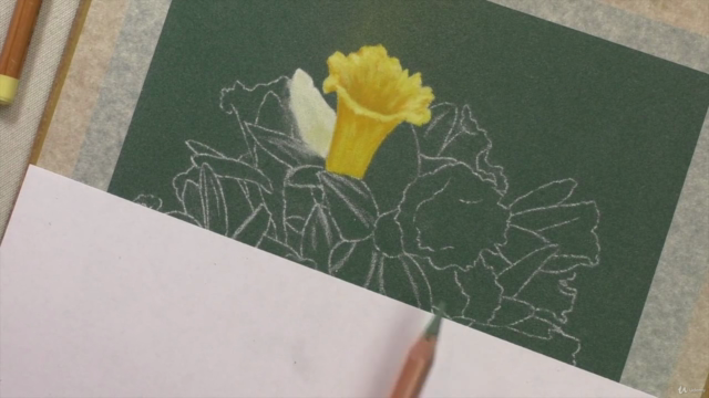 How To Draw Flowers Vol 1 - Roses, Tulips & Daffodils - Screenshot_03