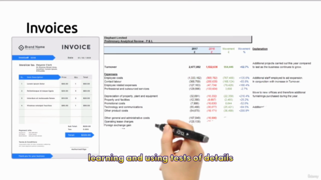 Become an External Auditor - External Audit Process Level 1 - Screenshot_02