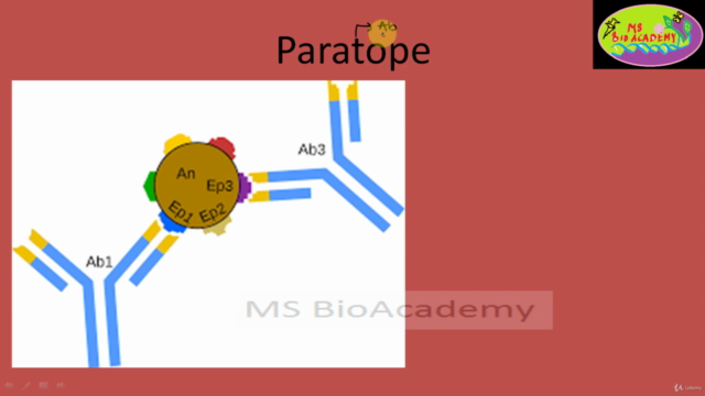 Biotechnology:Understand The Immunology Basics to Gene Level - Screenshot_04