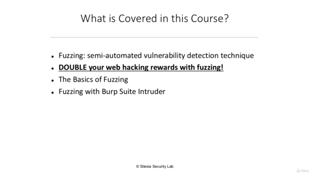 DOUBLE Your Web Hacking Rewards with Fuzzing - Screenshot_03
