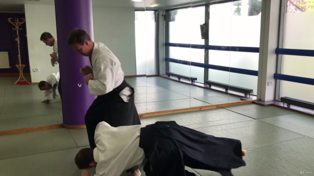 Aikido ABC - Vol 2. Basic techniques - Screenshot_04