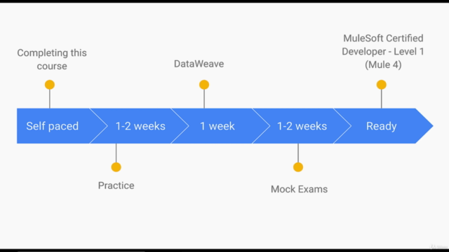 Mulesoft Certified Developer (Mule 4) - Screenshot_03