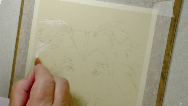 How To Draw Dogs Vol 1 - Pug, Collie, Labrador & Terrier - Screenshot_01