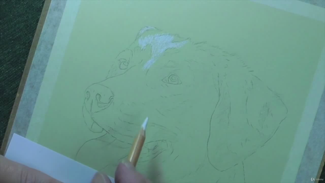 How To Draw Dogs Vol 1 - Pug, Collie, Labrador & Terrier - Screenshot_02