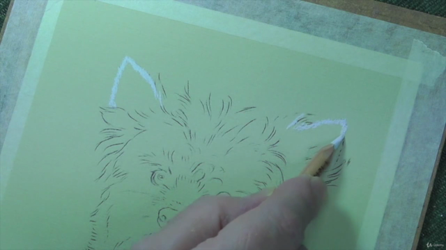 How To Draw Dogs Vol 1 - Pug, Collie, Labrador & Terrier - Screenshot_04