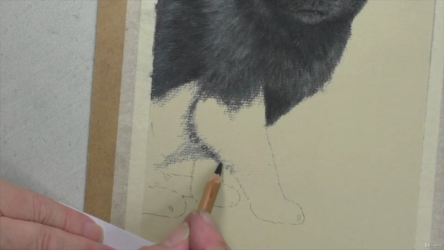 How to Draw Cats with Pastel Pencils - Screenshot_01