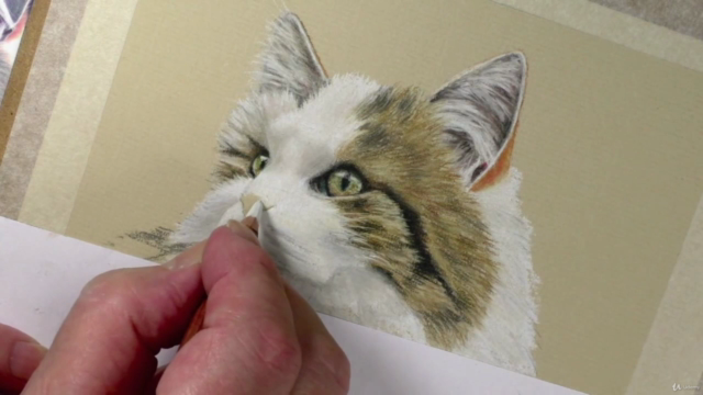 How to Draw Cats with Pastel Pencils - Screenshot_02