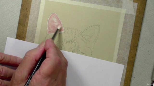 How to Draw Cats with Pastel Pencils - Screenshot_03