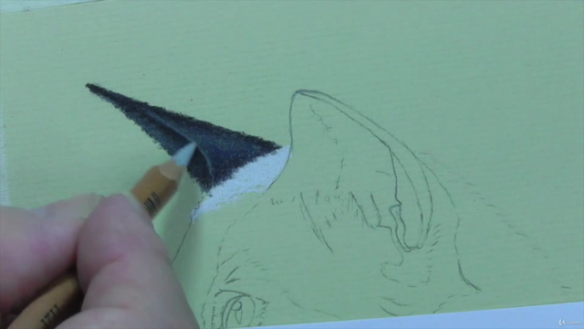 How to Draw Cats with Pastel Pencils - Screenshot_04