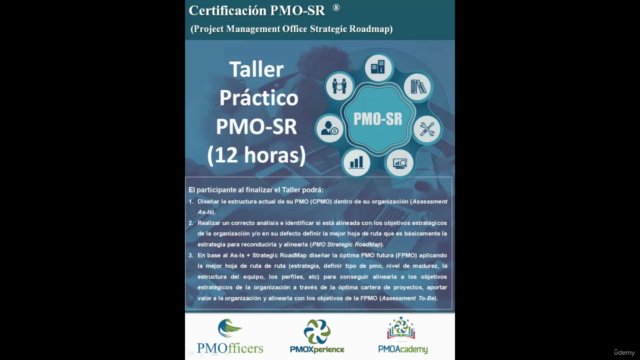 PMO-SR (Strategic Roadmap) - Screenshot_02
