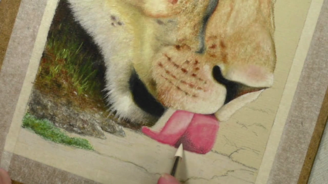 How to Draw Lions, Tigers and Bears using Pastel Pencils - Screenshot_03