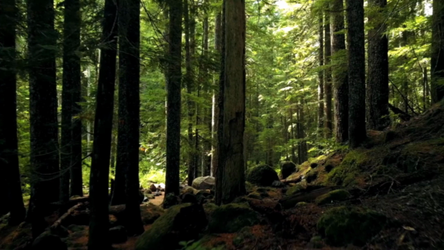 PowerPoint Parallax Course – Screenshot 4