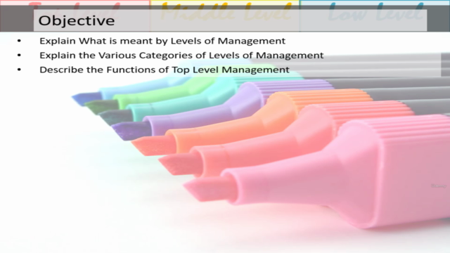 Levels of Management - Screenshot_02