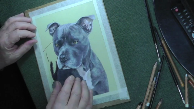 How To Draw Dogs Vol 2 - Staffy, German Shepherd & Shih Tzu - Screenshot_01