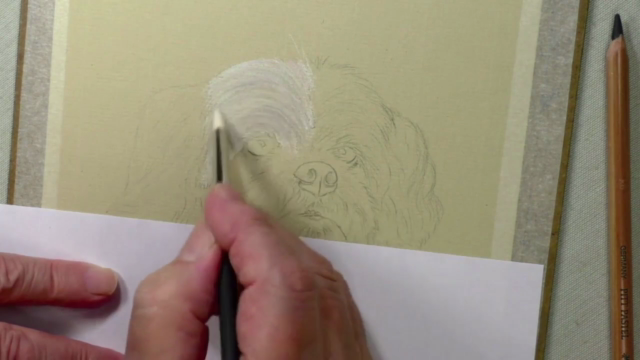 How To Draw Dogs Vol 2 - Staffy, German Shepherd & Shih Tzu - Screenshot_03