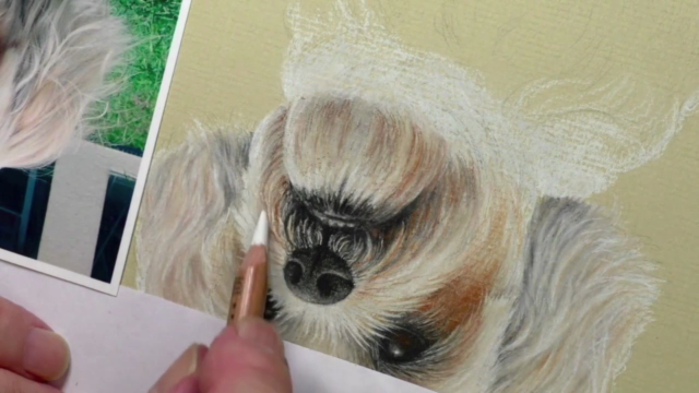 How To Draw Dogs Vol 2 - Staffy, German Shepherd & Shih Tzu - Screenshot_04