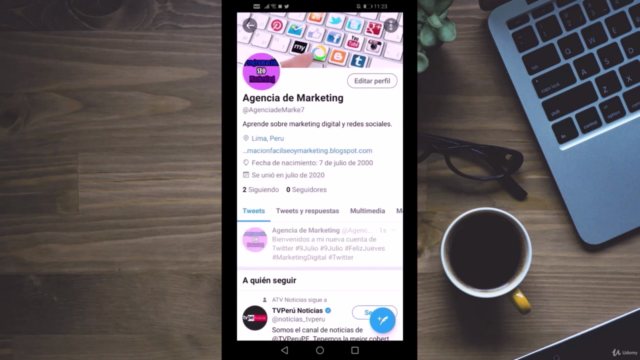 Curso de Twitter 2025, ¡Desde Cero Hasta Experto! - Screenshot_04