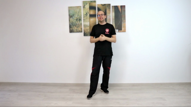 Die zweite Sektion Chi Sao im Wing Chun - Screenshot_01