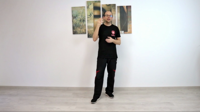 Die zweite Sektion Chi Sao im Wing Chun - Screenshot_02