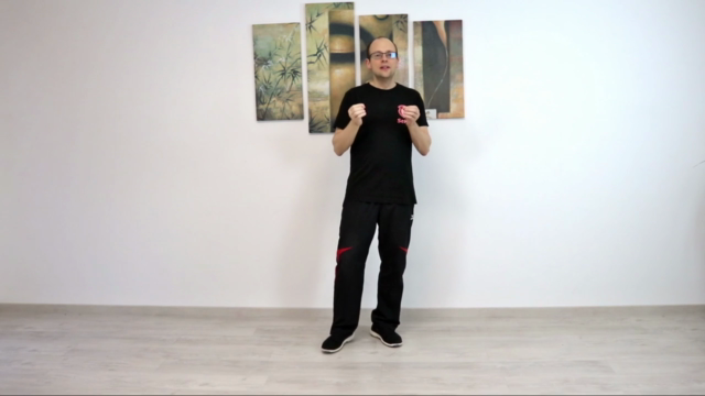 Die zweite Sektion Chi Sao im Wing Chun - Screenshot_03