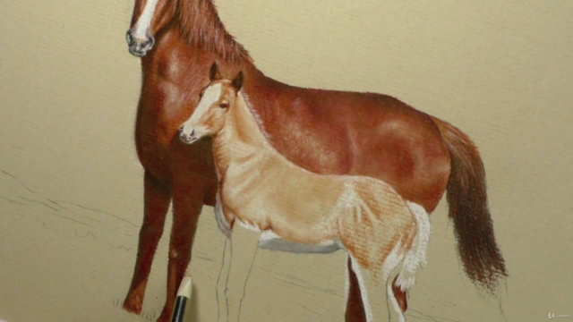 How To Draw Horses Step by Step - 4 Subjects in 1 Course - Screenshot_04