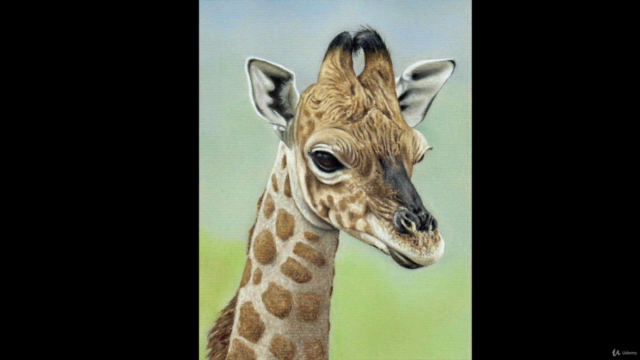 How To Draw Wild Animals Vol 3 - Zebra, Giraffe and Lemur - Screenshot_03