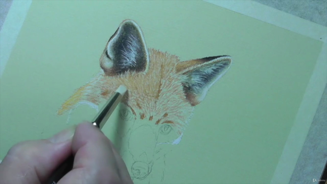 How To Draw Wild Animals Vol 5 - Hare, Fox and Mouse - Screenshot_02