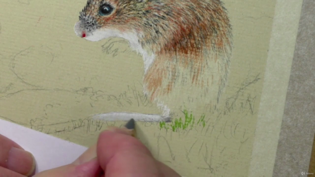 How To Draw Wild Animals Vol 5 - Hare, Fox and Mouse - Screenshot_04