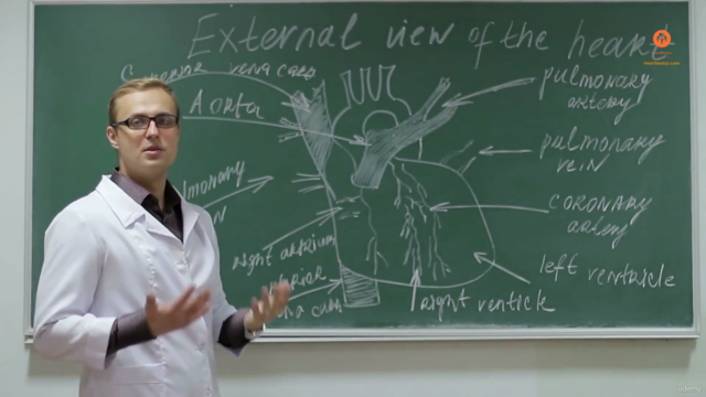 Master Cardiac Electrophysiology & Rhythm Management - 1 - Screenshot_01