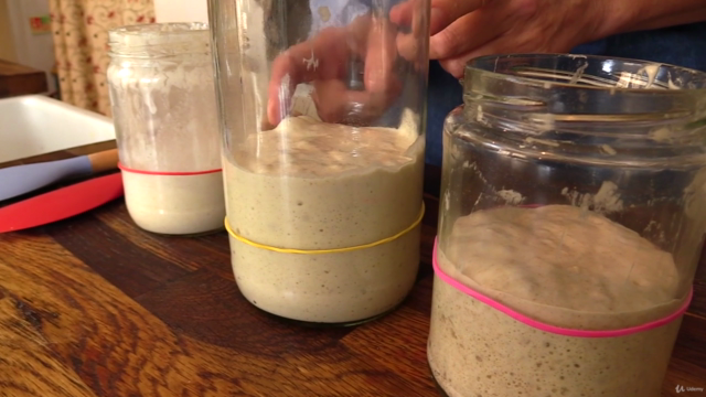 Mastering Sourdough Starters & Leavens - Screenshot_02