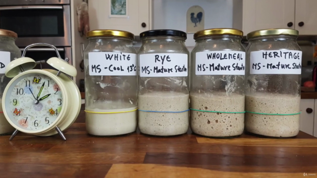 Mastering Sourdough Starters & Leavens - Screenshot_04