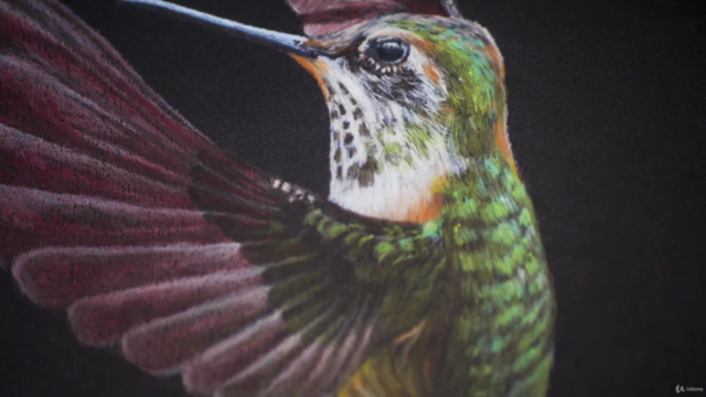 3 Little Birds with Colored Pencils - Screenshot_03