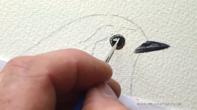 How to Paint a Realistic Robin Bird in Watercolour - Screenshot_01