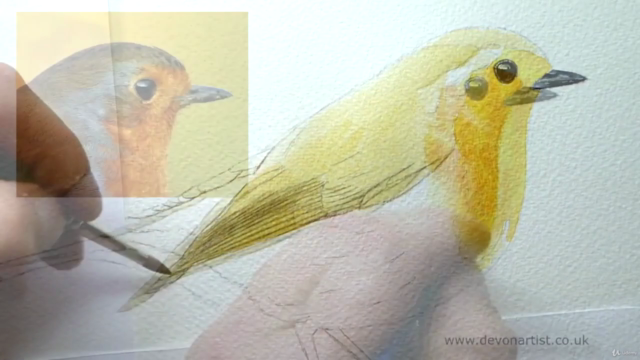 How to Paint a Realistic Robin Bird in Watercolour - Screenshot_02