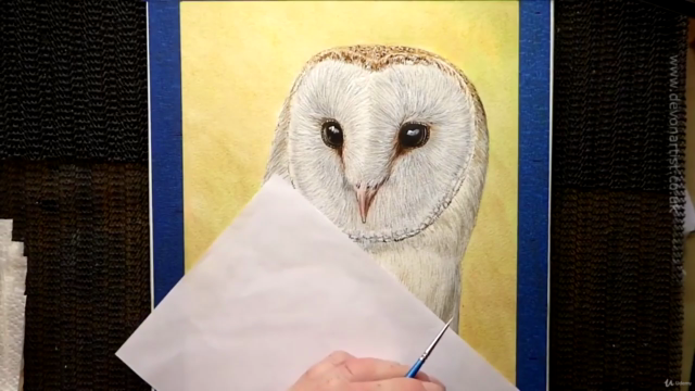Barn Owl Watercolor Lesson - Screenshot_02