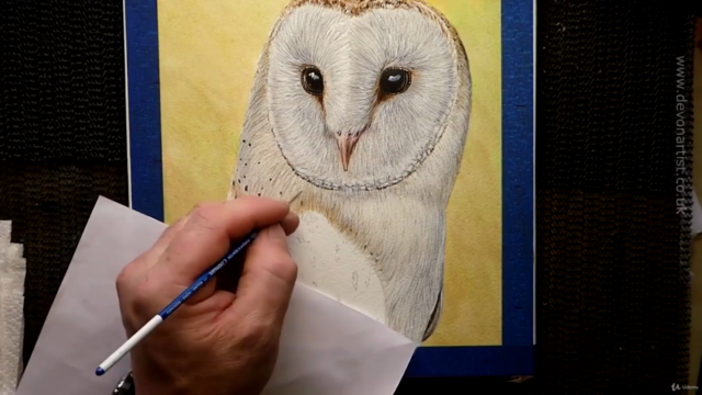 Barn Owl Watercolor Lesson - Screenshot_03