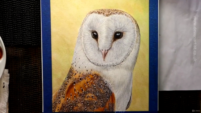 Barn Owl Watercolor Lesson - Screenshot_04