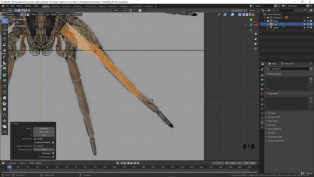 Blender 2.81 - Spiders and insects creation from scratch - Screenshot_02