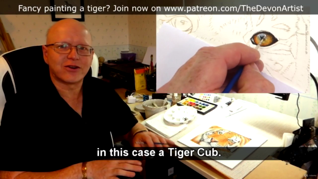 How To Paint a Realistic Tiger in Watercolour, Step by Step! - Screenshot_01
