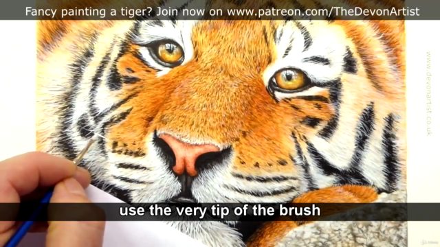 How To Paint a Realistic Tiger in Watercolour, Step by Step! - Screenshot_04