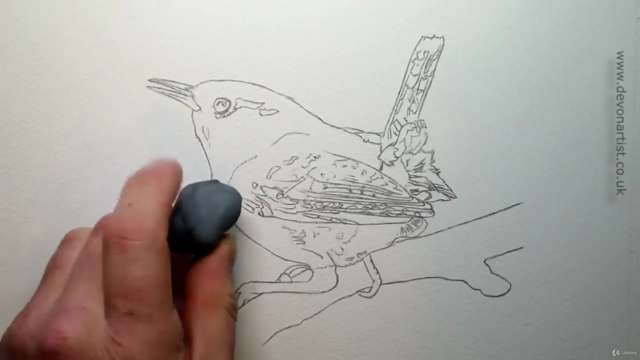Watercolour Bird Painting - How To Paint a Realistic Wren - Screenshot_01