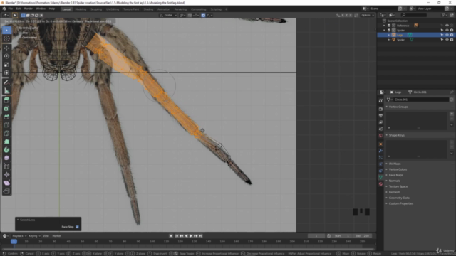 Blender 2.81 - Création d'insectes et araignées - Screenshot_02