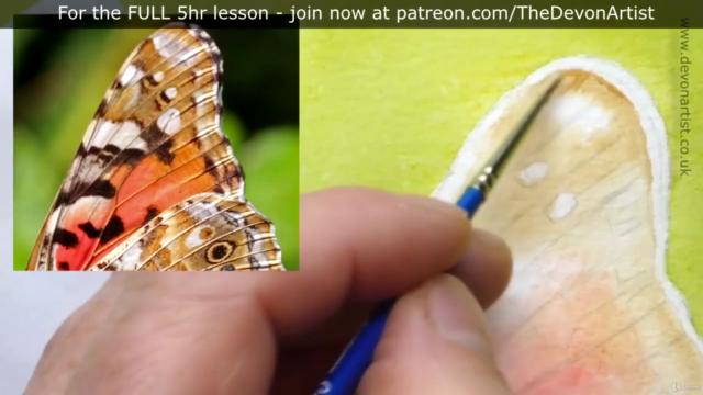 How To Paint a Realistic, Detailed, Butterfly in Watercolour - Screenshot_01
