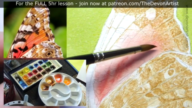 How To Paint a Realistic, Detailed, Butterfly in Watercolour - Screenshot_02