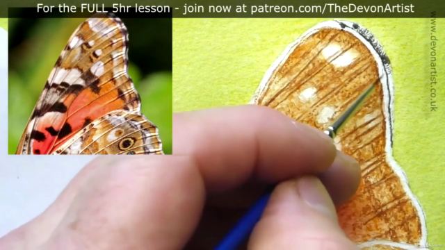 How To Paint a Realistic, Detailed, Butterfly in Watercolour - Screenshot_03