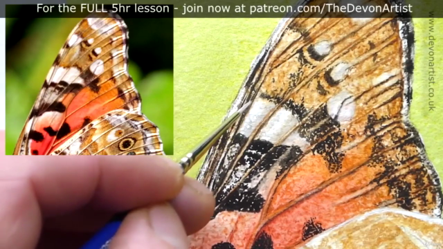 How To Paint a Realistic, Detailed, Butterfly in Watercolour - Screenshot_04