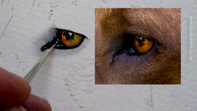 How To Paint a Dog in Watercolour - Painting Fur in Detail! - Screenshot_02