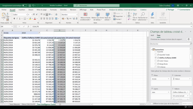 Excel Business Intelligence : Power Query Power Pivot & DAX - Screenshot_04